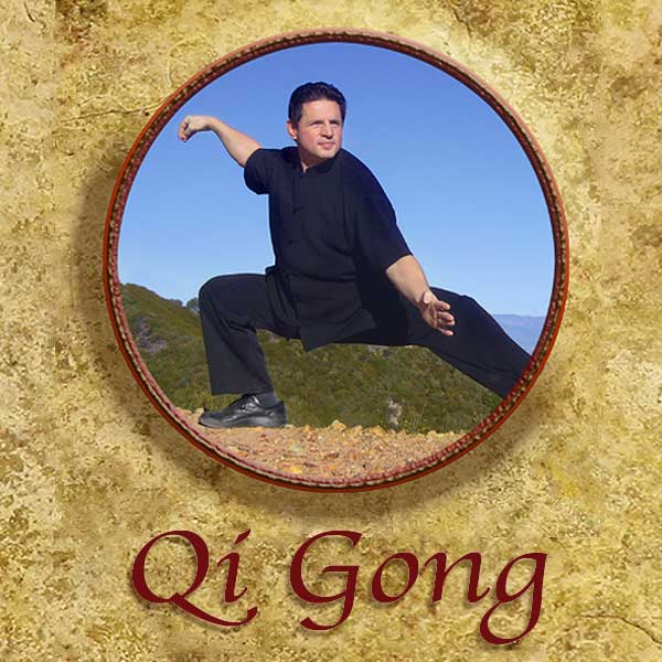 Qi Gong 3 – Vision Set – Advanced Level  with Peter Shane (DVD)