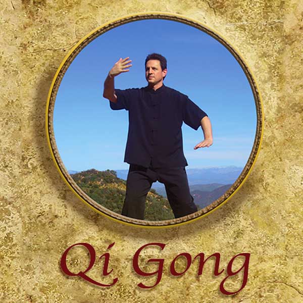 Qi Gong 2 – Five Golden Postures – Intermediate Level with Peter Shane (DVD)
