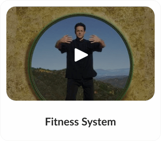 Fitness System